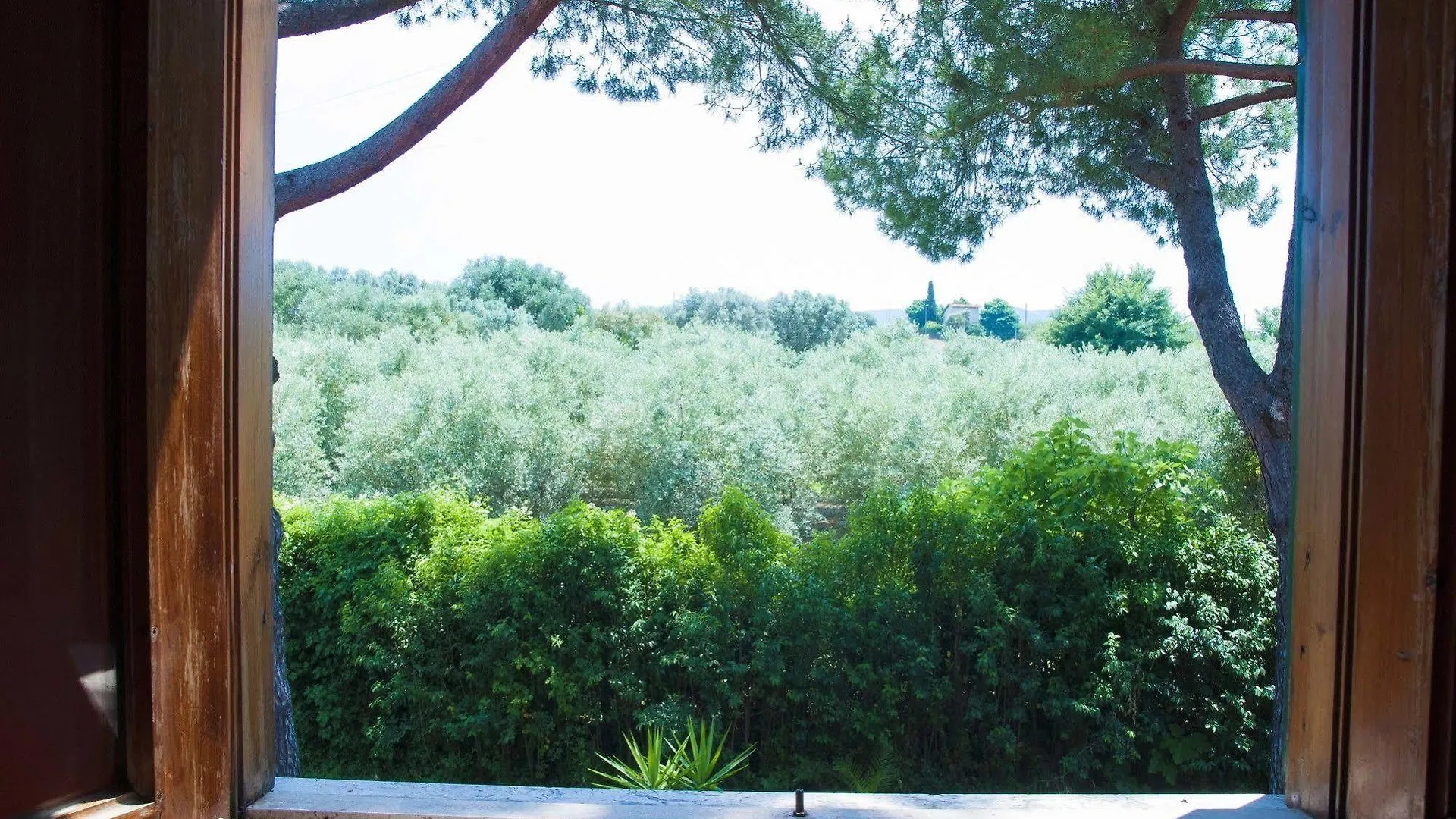 Hotel Villa Maria Luigia Frascati
