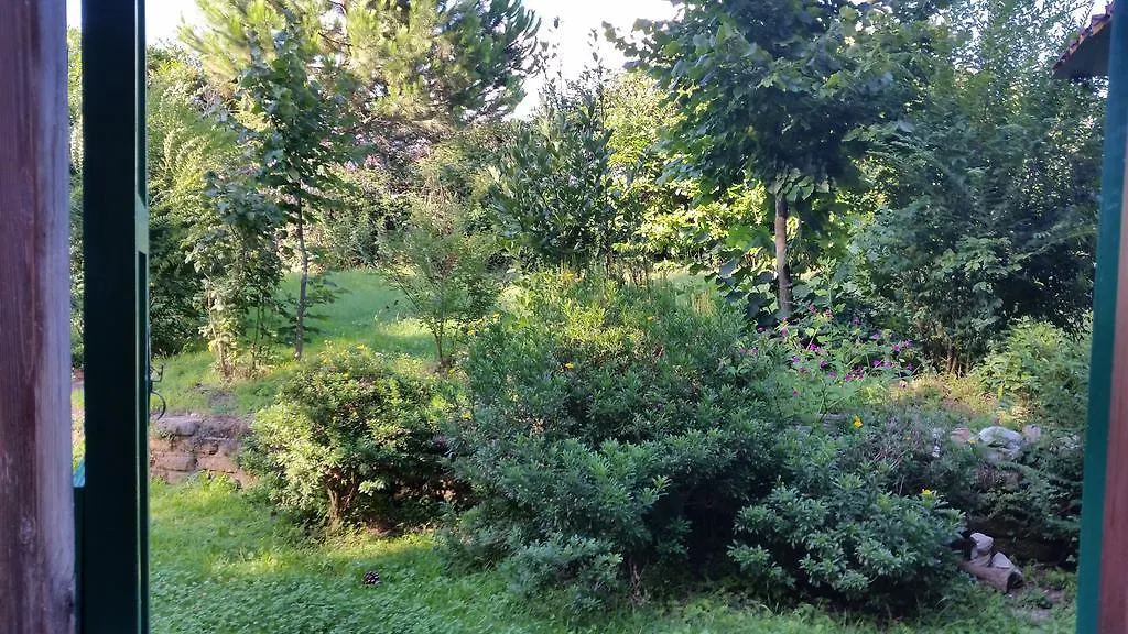Hotel Villa Maria Luigia Frascati